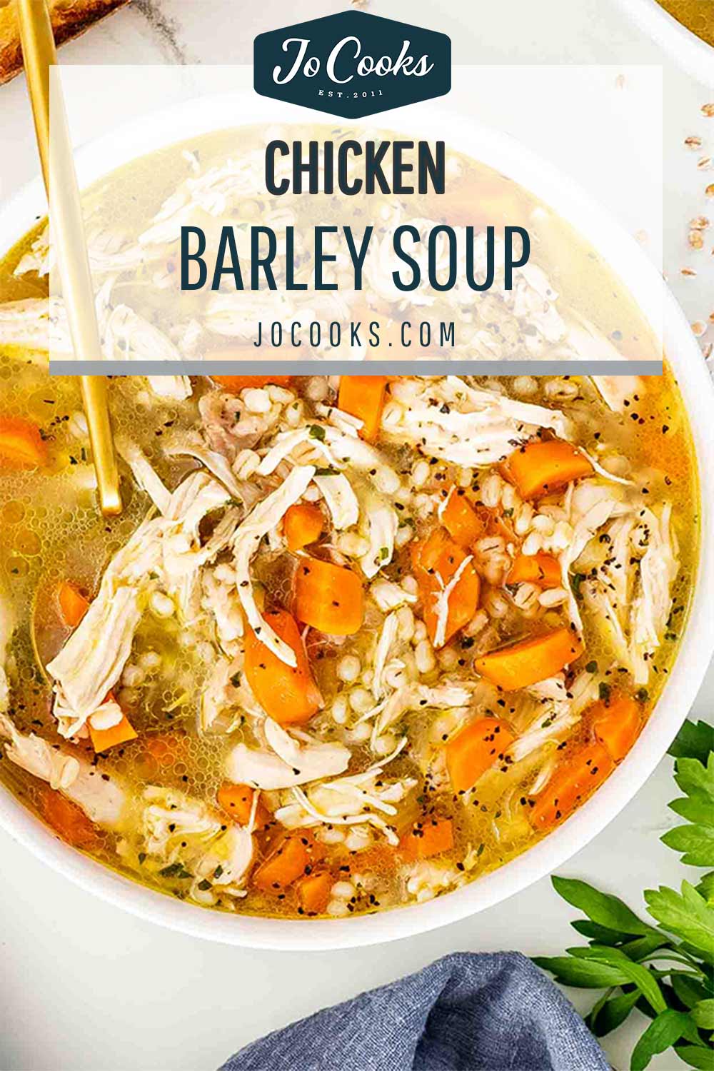 pin for chicken barley soup.
