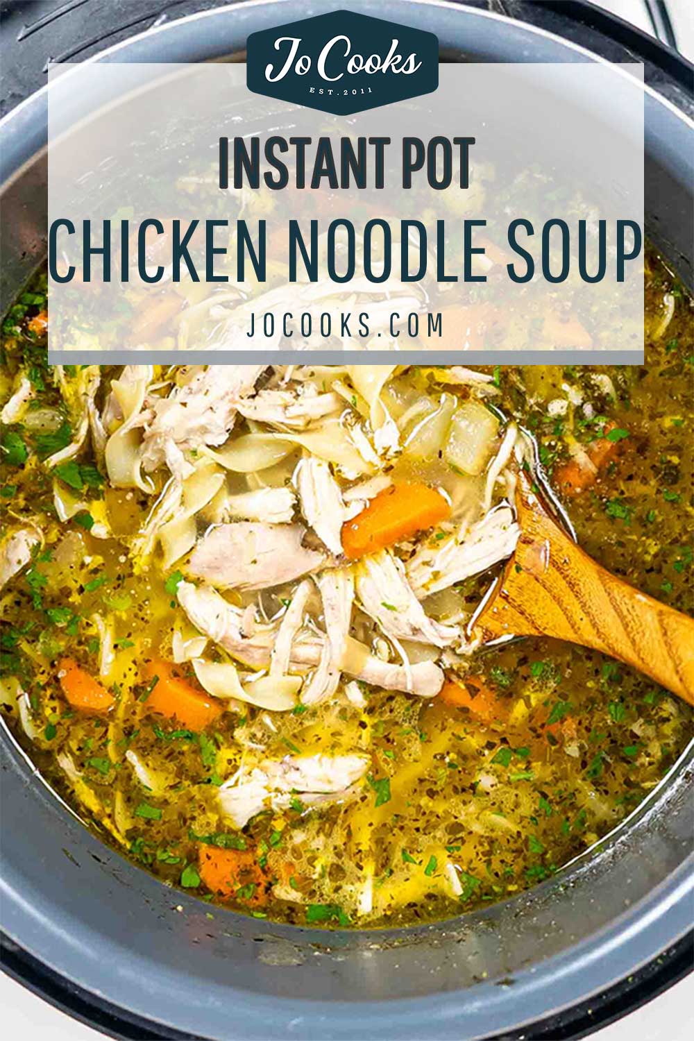 pin for instant pot chicken noodle soup.